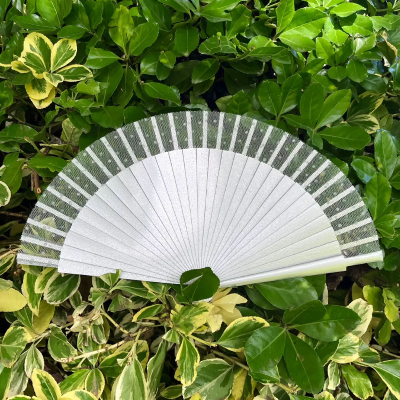 Abanicos originales en blanco | Anhelo