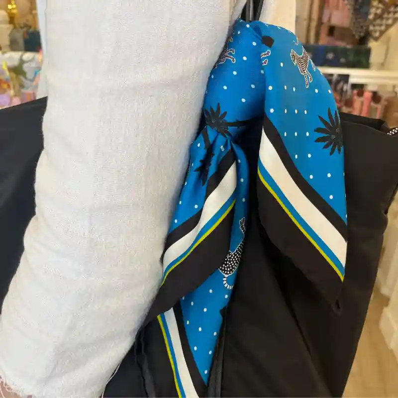 Pañuelos de seda para mujer atados al bolso | Anhelo
